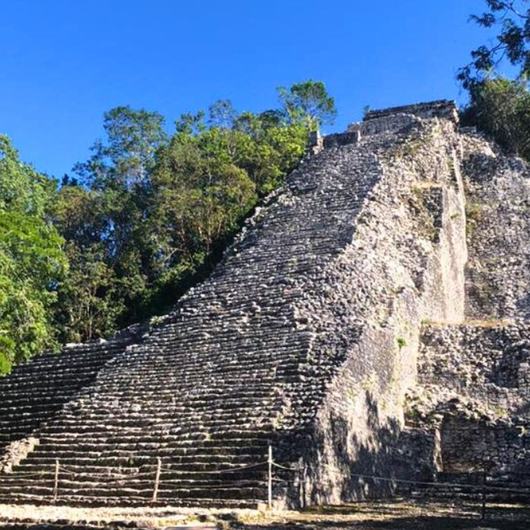Discover Maya