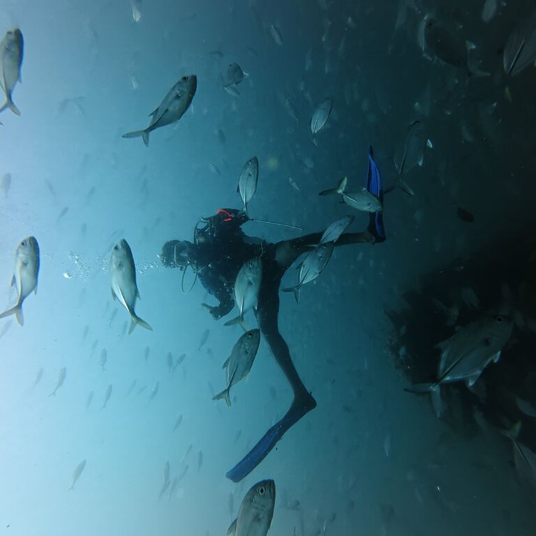 SEAHORSE SCUBA DIVE CENTER