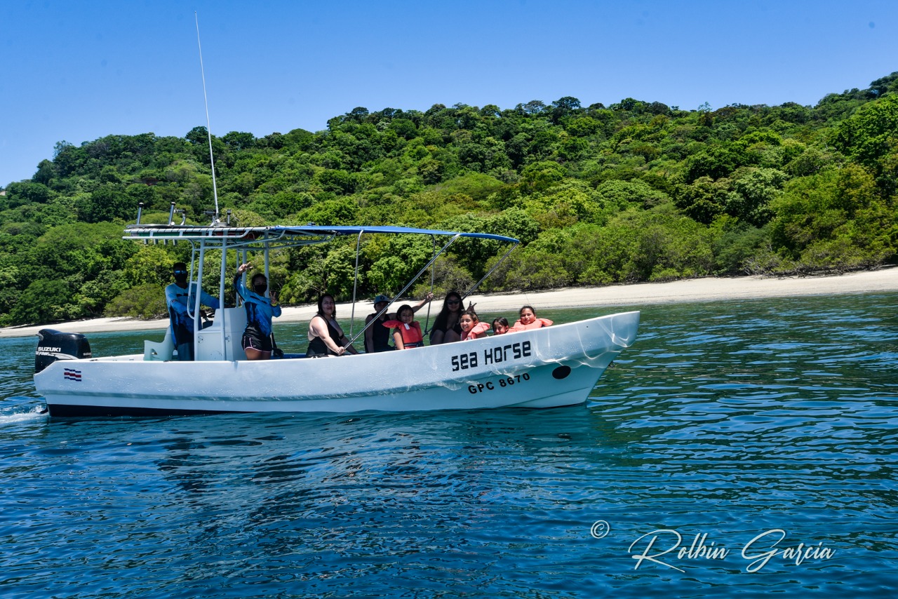 SeaHorse Ocean Tours