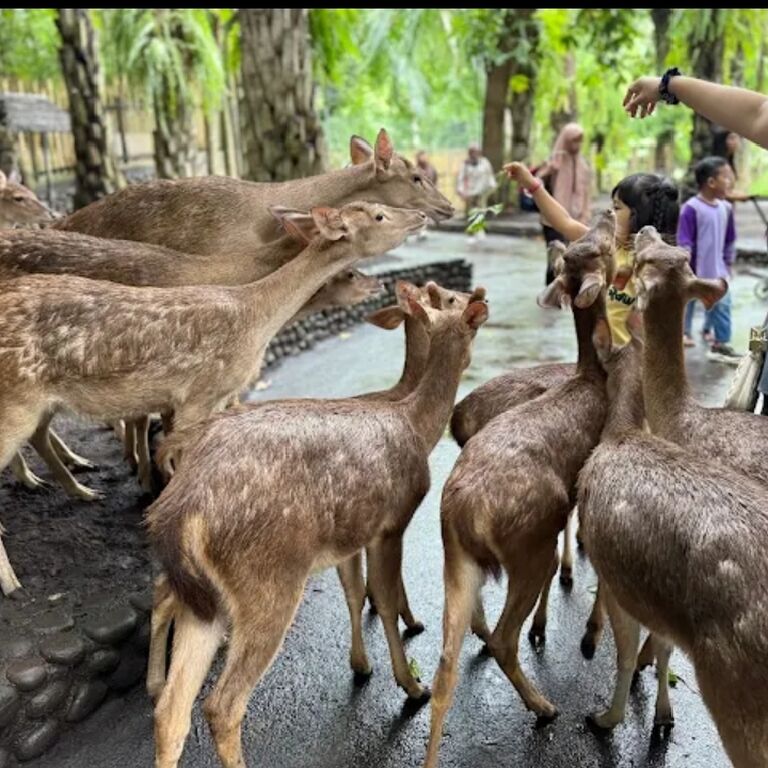 Dewa Permana