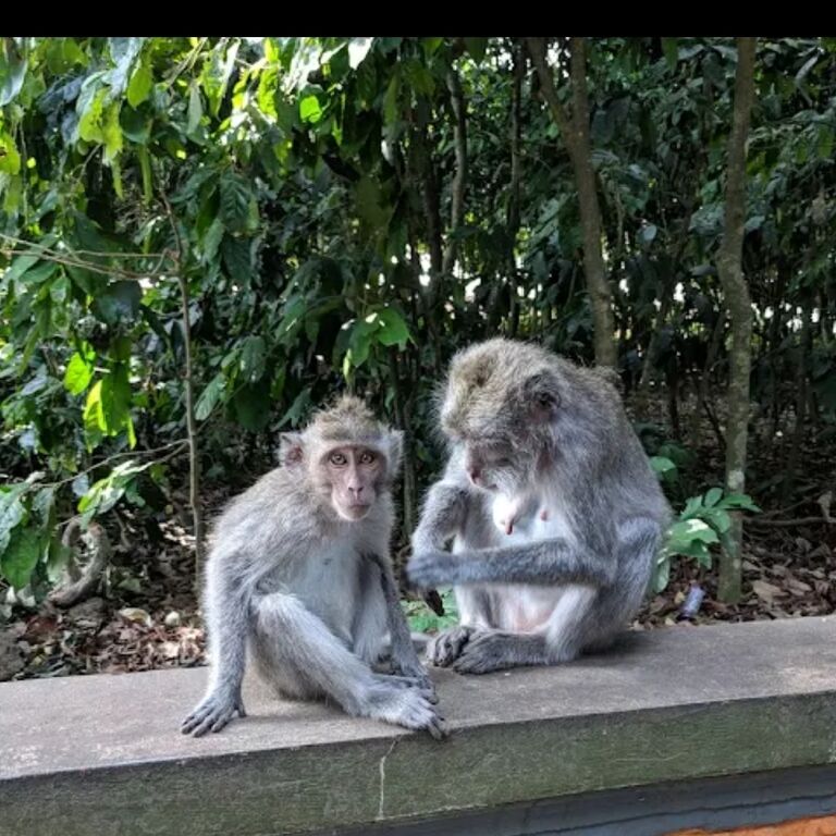 Dewa Permana