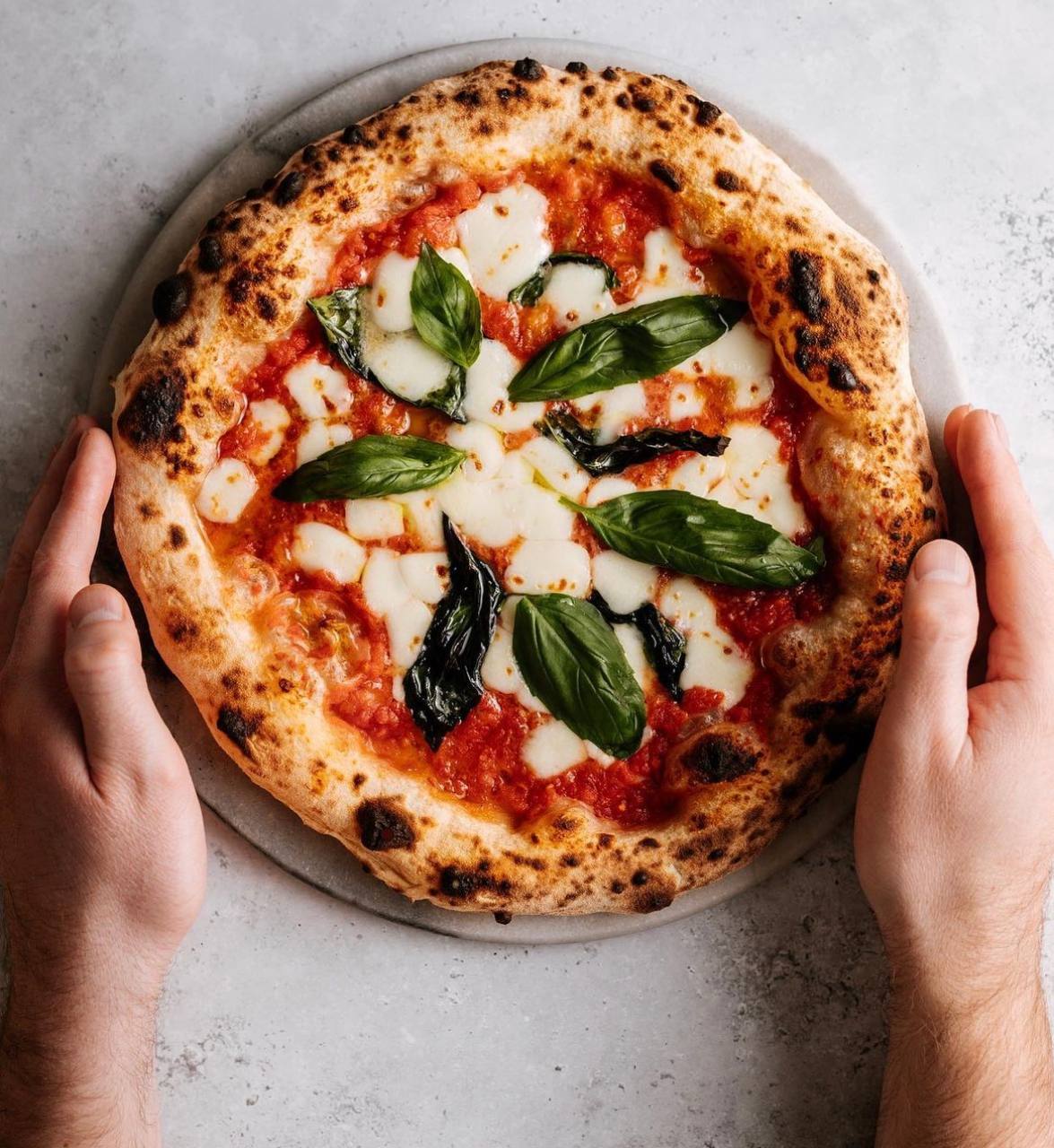 Tomato and Basil Pizzeria