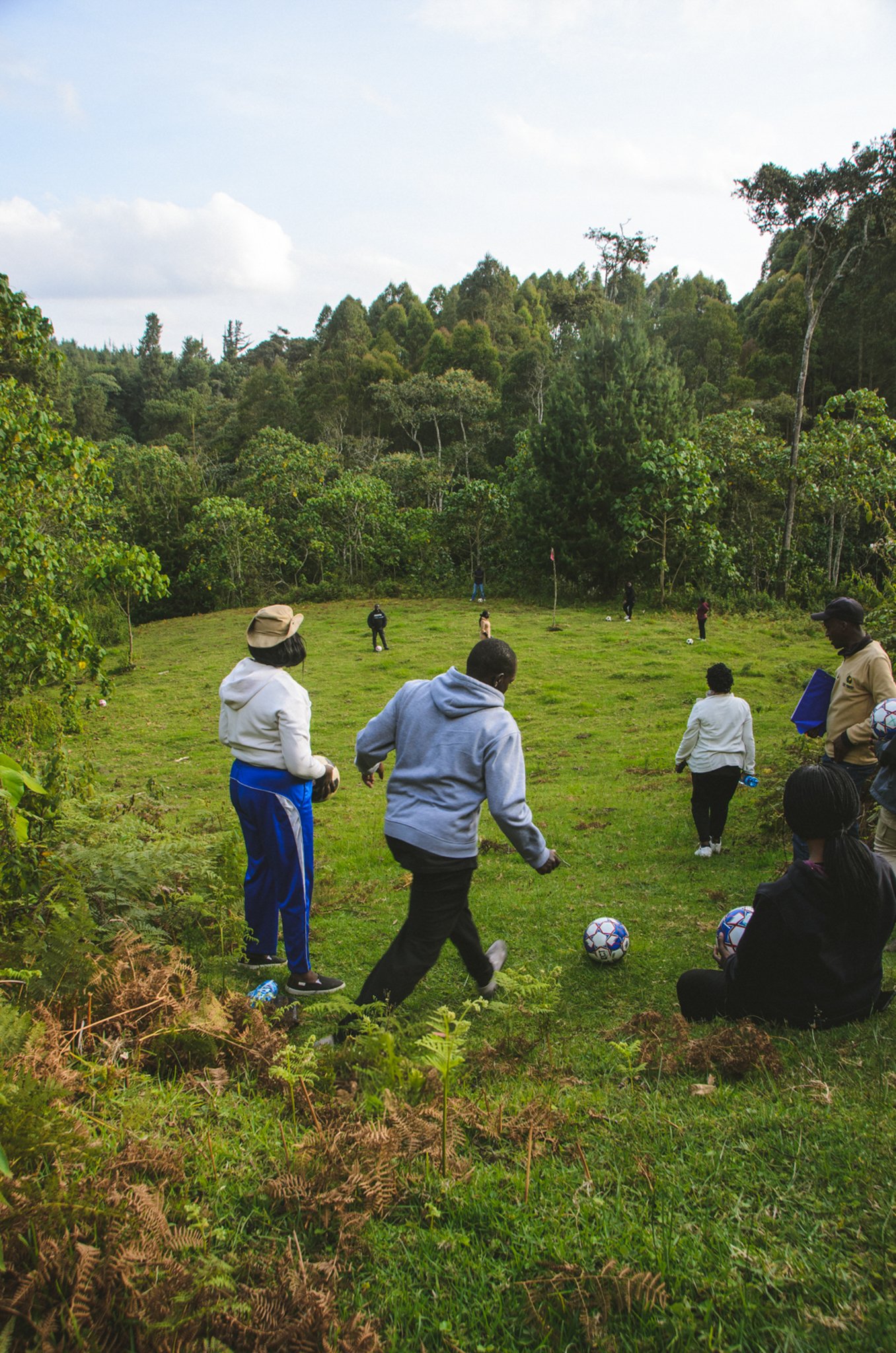 The Forest Adventure Centre an