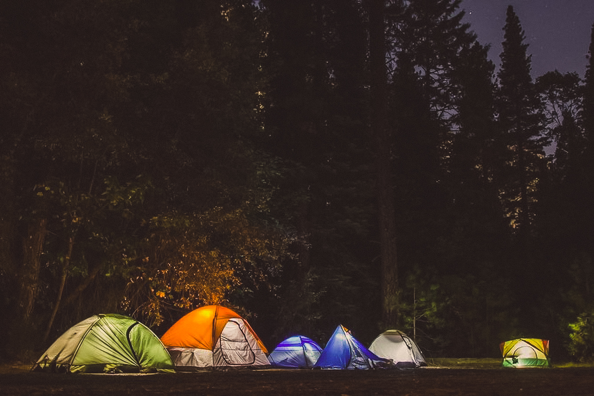 The Forest Adventure Centre an