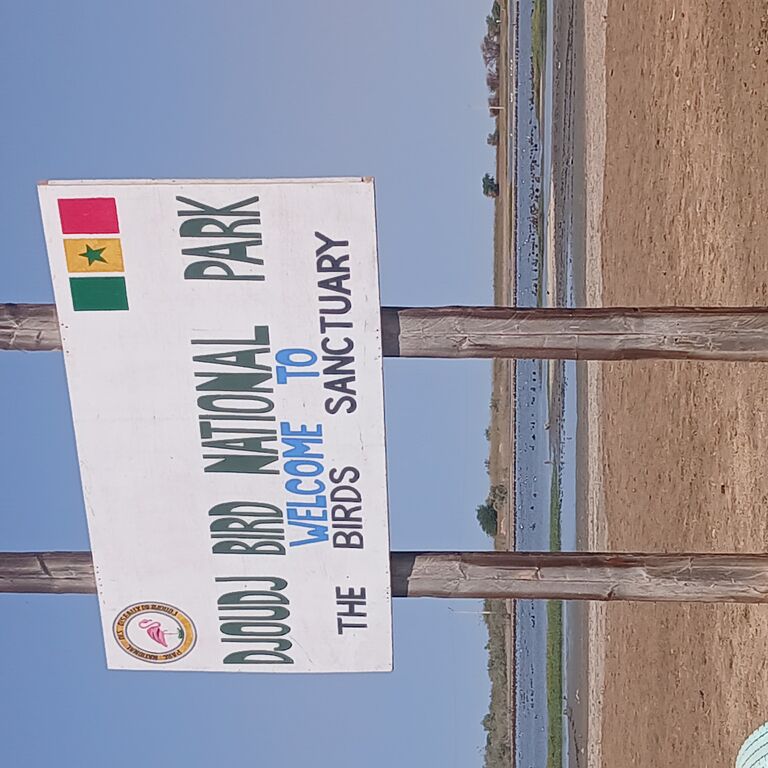 pape Alioune
