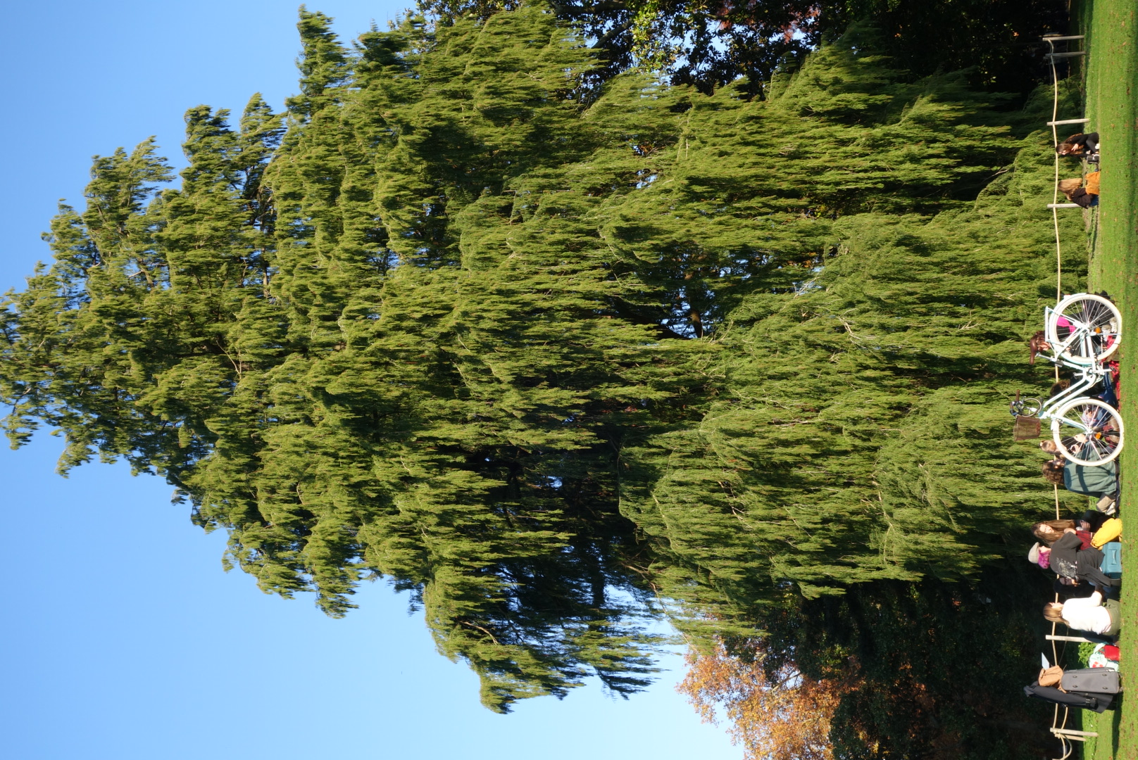 Bordeaux' Best Boulangeries