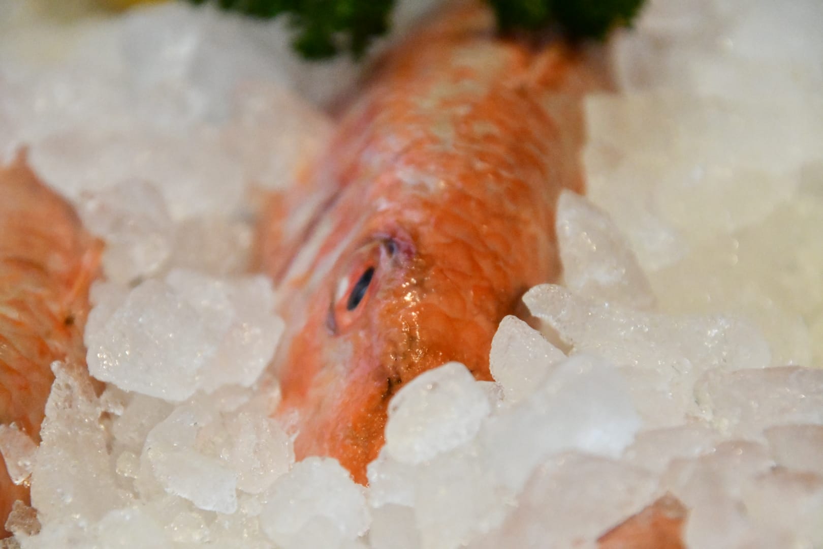 Le Café de Bruxelles