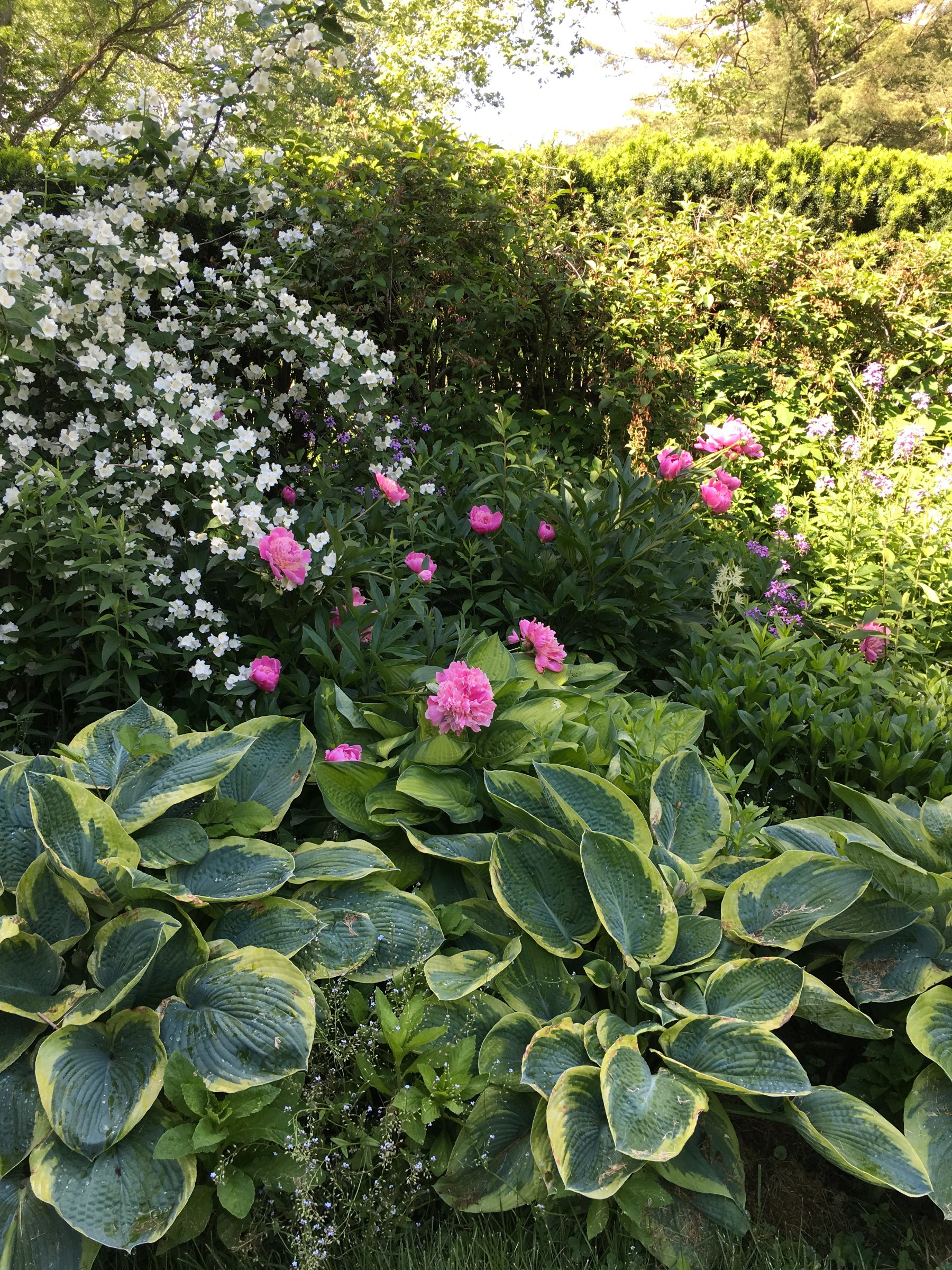 Glebe House Museum & Garden