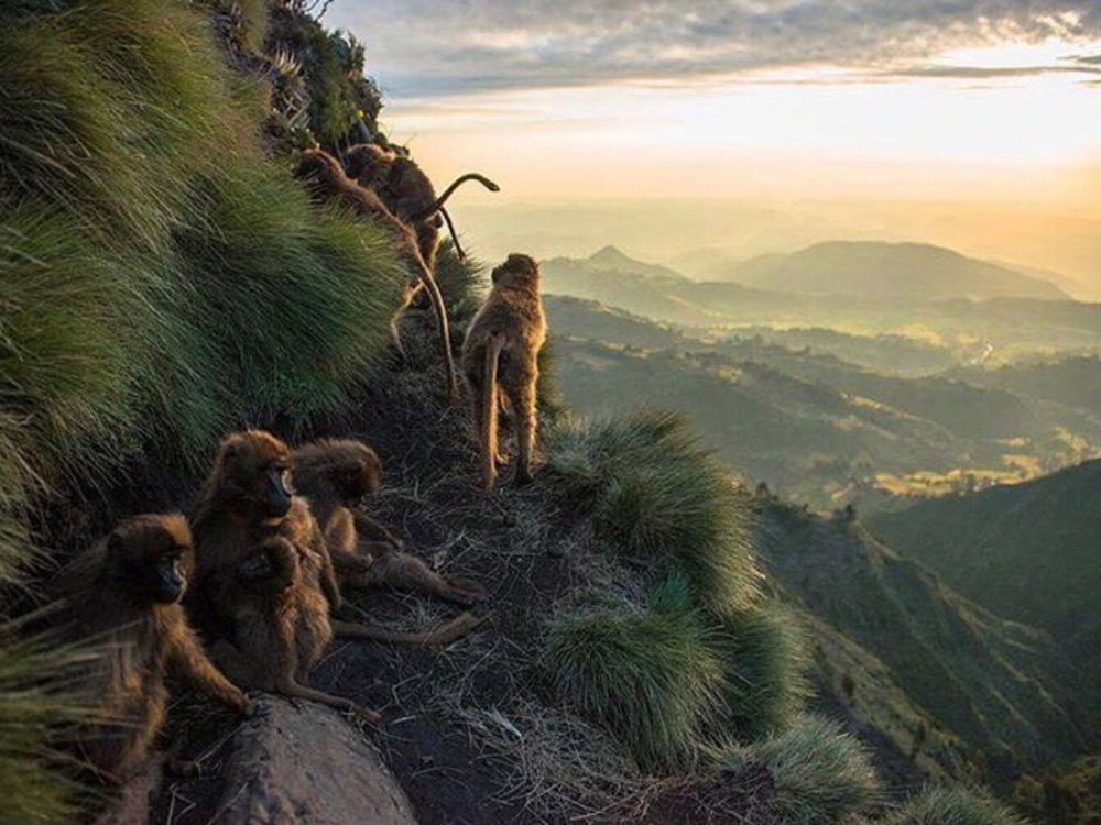 9 Day Northern Ethiopia tour