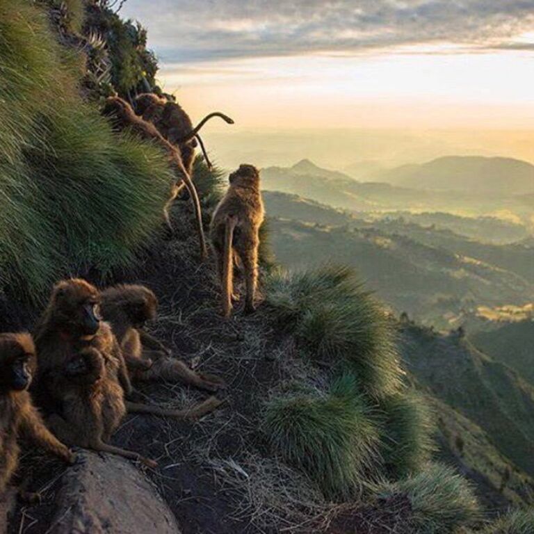 9 Day Northern Ethiopia tour