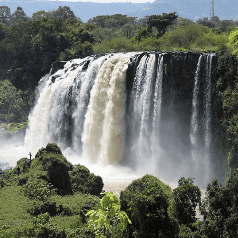 15-Day North and South Ethiopi