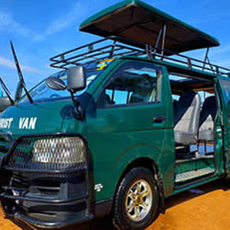 4x4 Road Trips