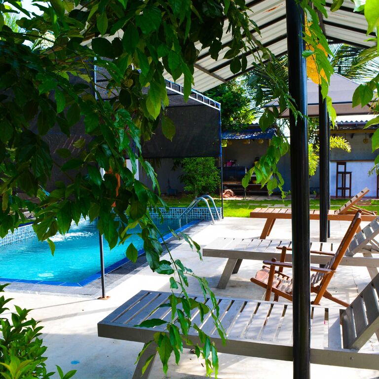 Jungle View Inn