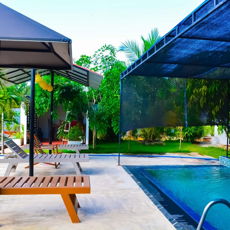 Jungle View Inn