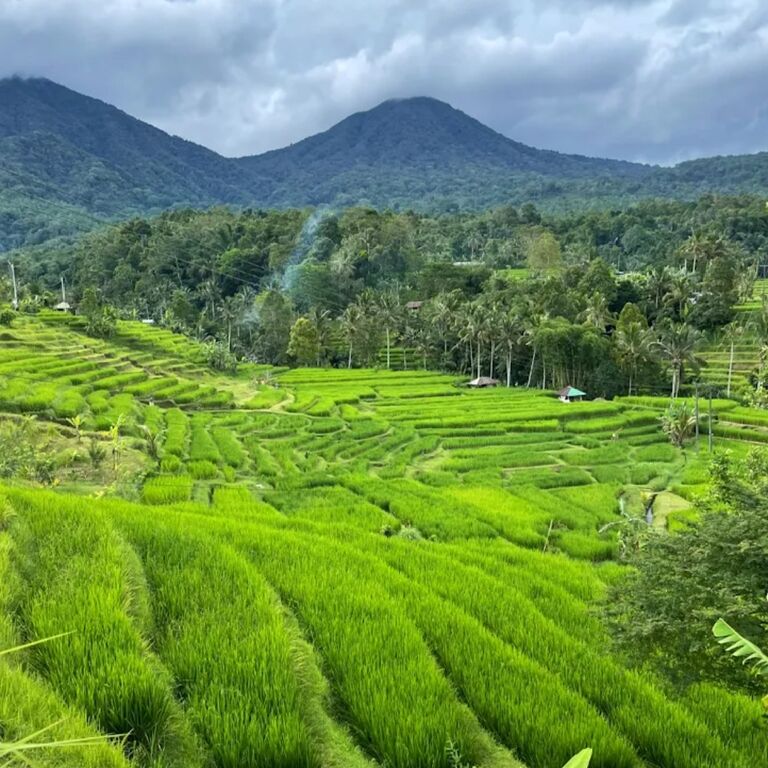Dewa Permana