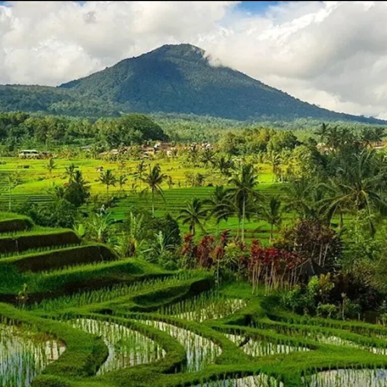 Dewa Permana