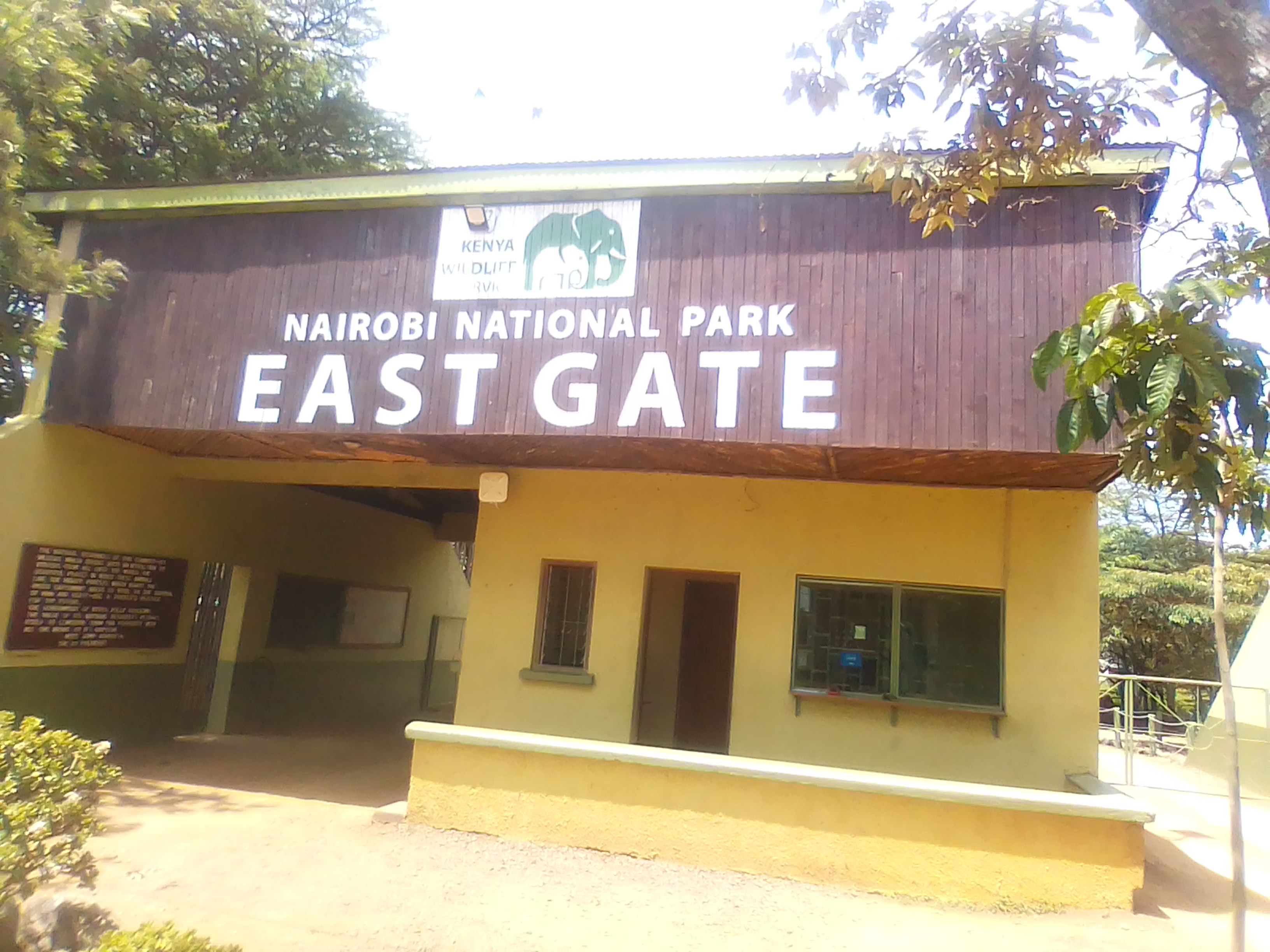 Harrison kinoti