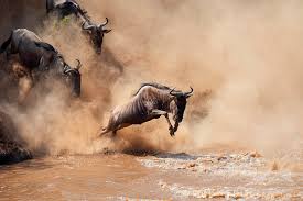 AFRICAN MASTERCLASS TOURS AND