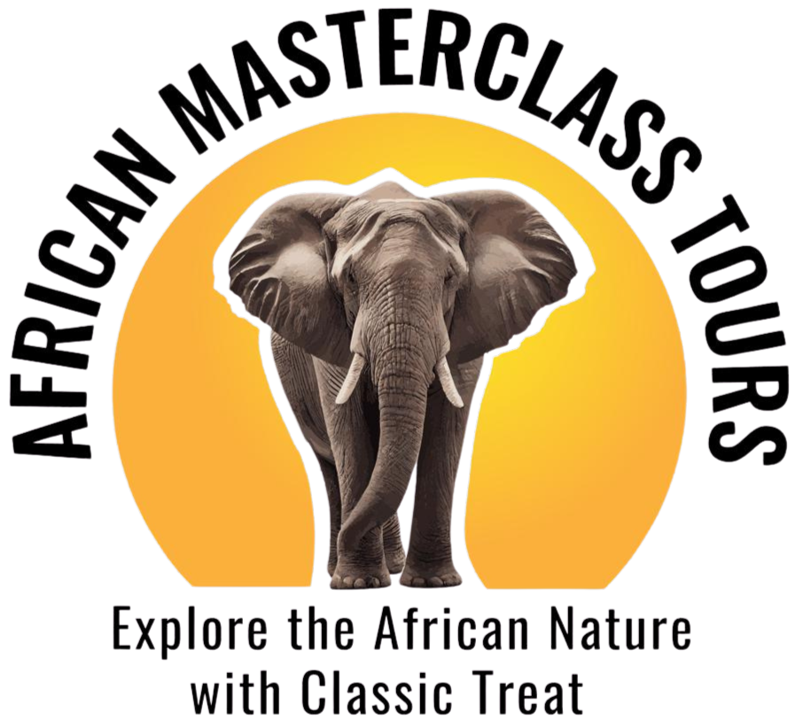 AFRICAN MASTERCLASS TOURS AND