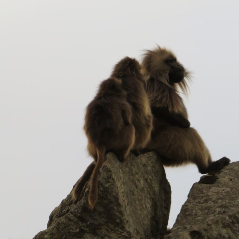 Twsta Tours and Expeditions