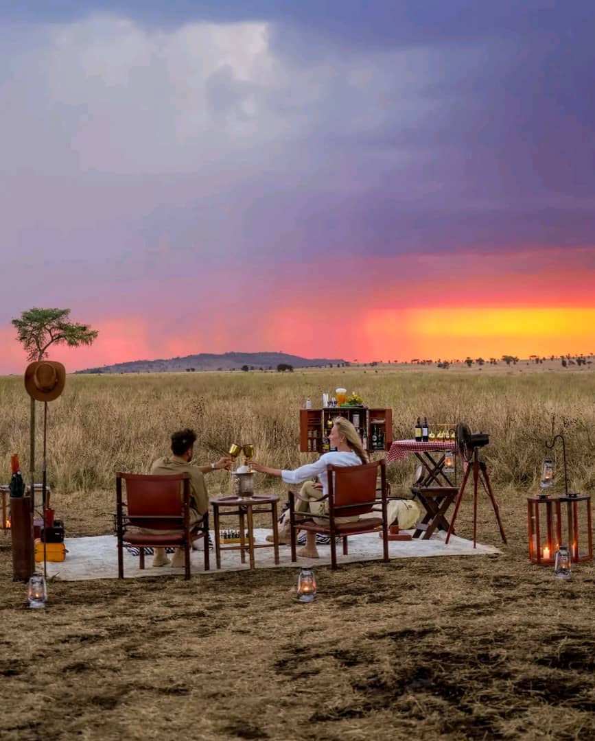 CIVET ADVENTURE SAFARI