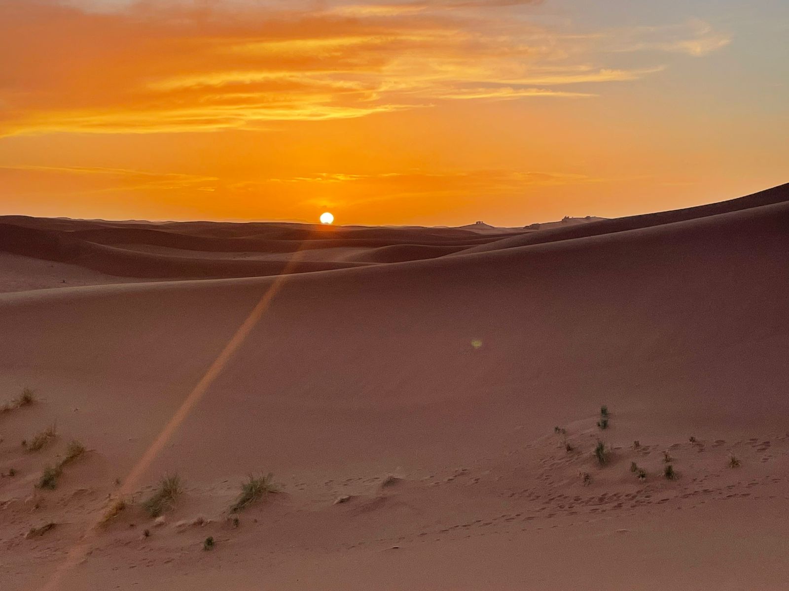 Sahara sunset tours