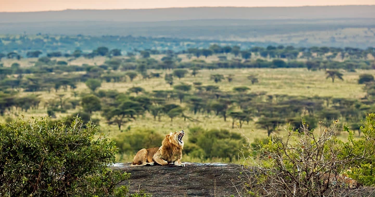 KENROBS AFRICA