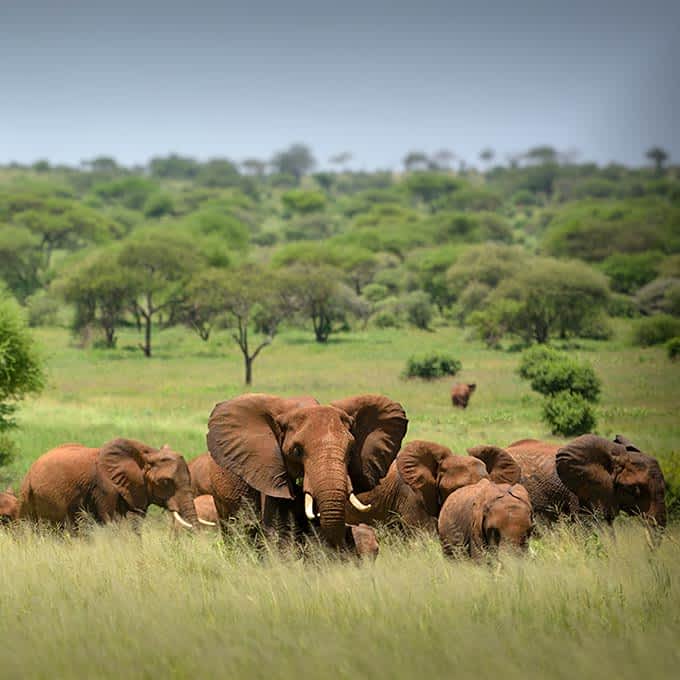 KENROBS AFRICA