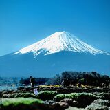 JAPAN EXPLORER