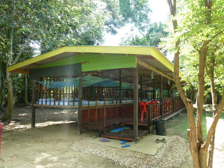 Tanjung Bulat Jungle Camp