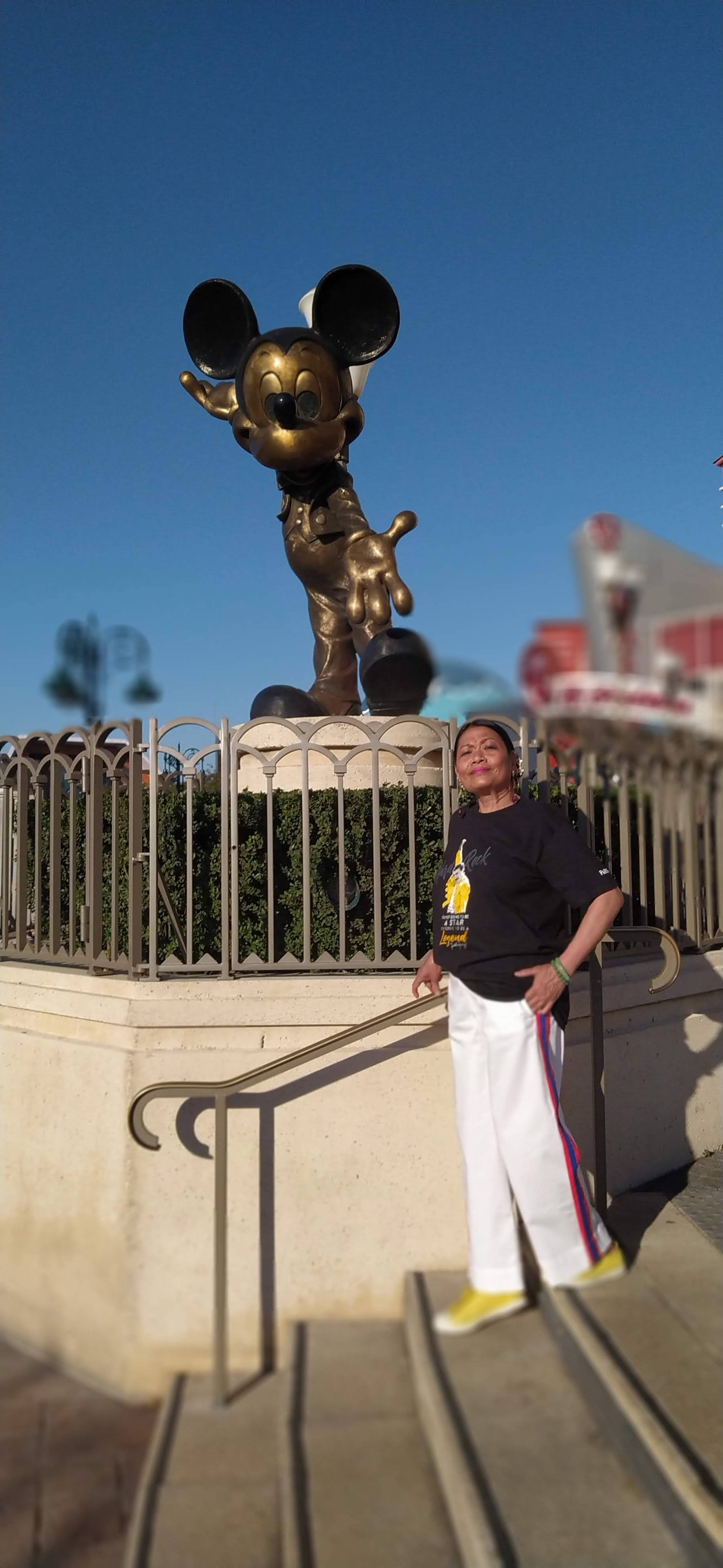 Paris Airport Shuttle Cab