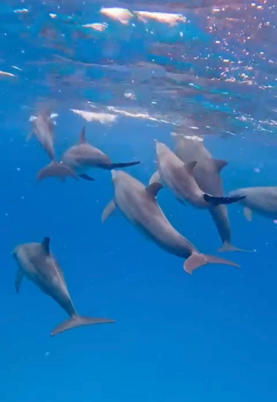 Al-tayyib Tours and Safaris