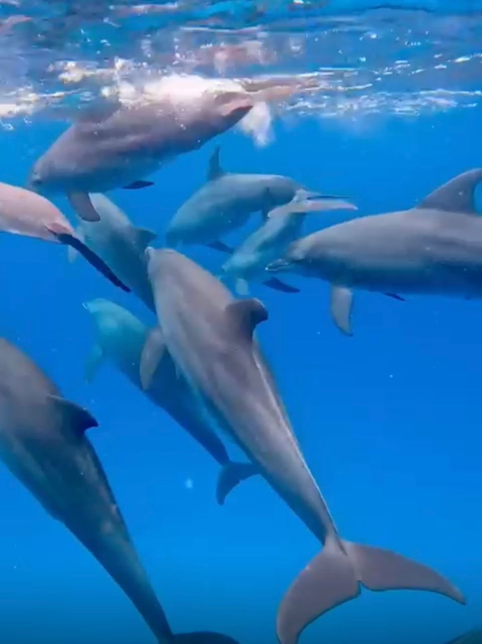 Al-tayyib Tours and Safaris