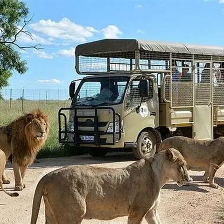 Amoentle Travel