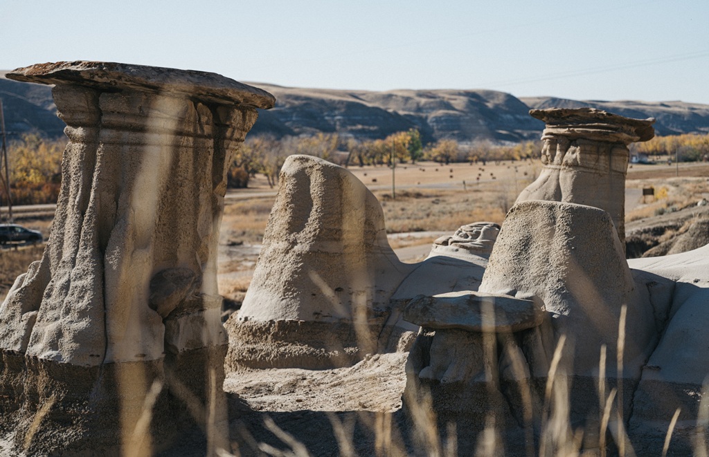 View Rockies Charters