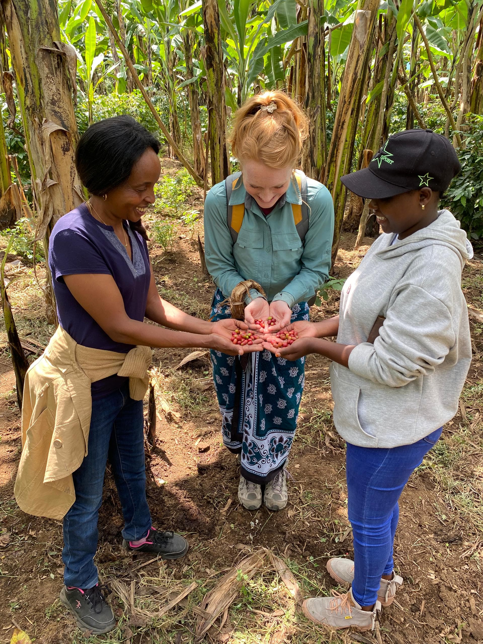 COMEBACK AFRICAN SAFARIS