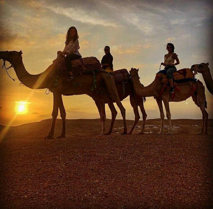 Activities Marrakech