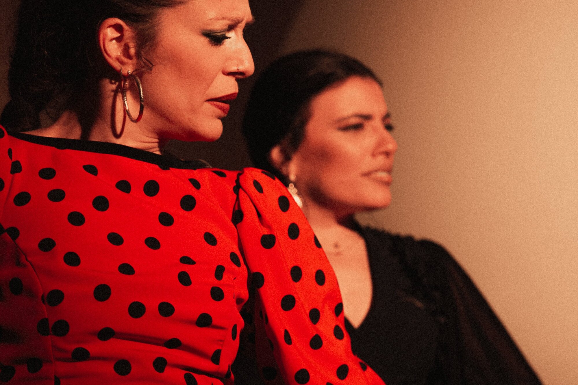 CENTROCULTURAL FLAMENCO MADRID