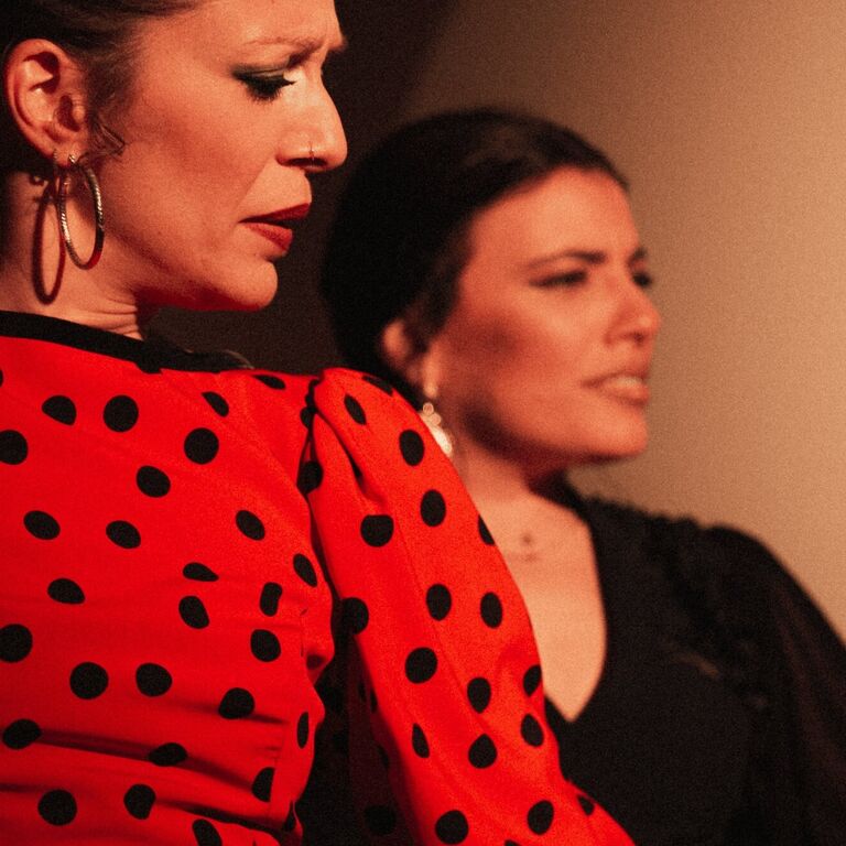 CENTROCULTURAL FLAMENCO MADRID