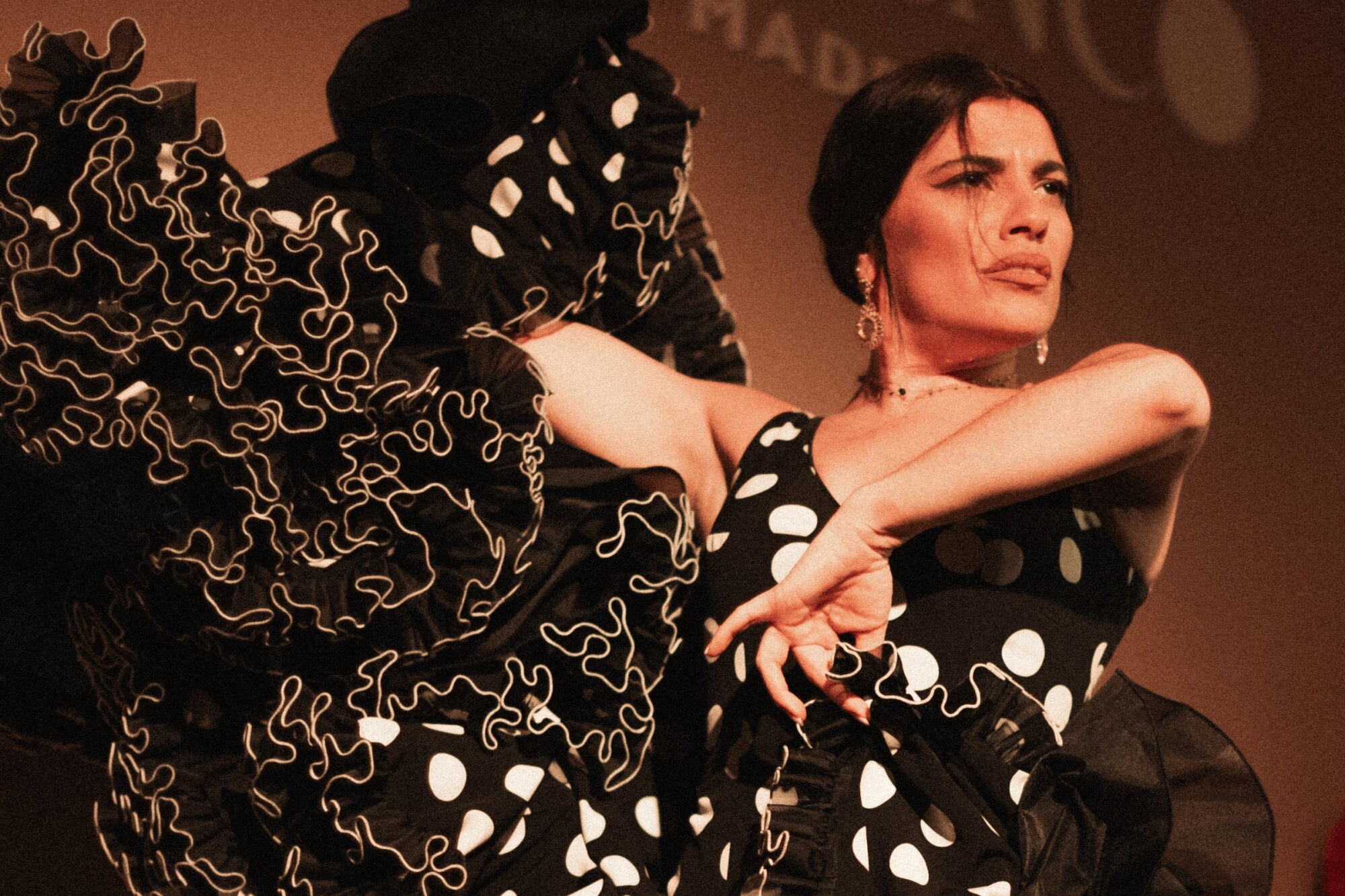 CENTROCULTURAL FLAMENCO MADRID
