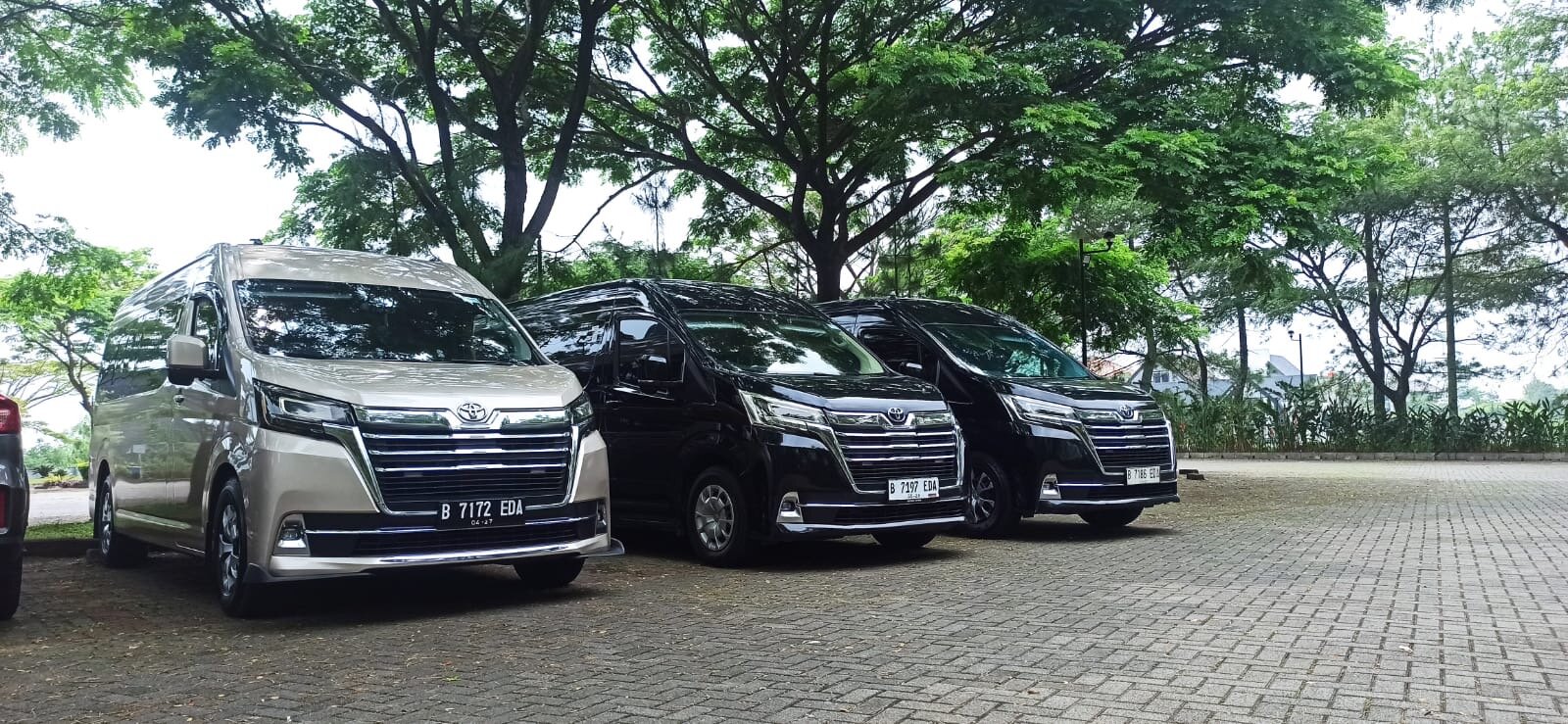 Ayo jalan tour travel