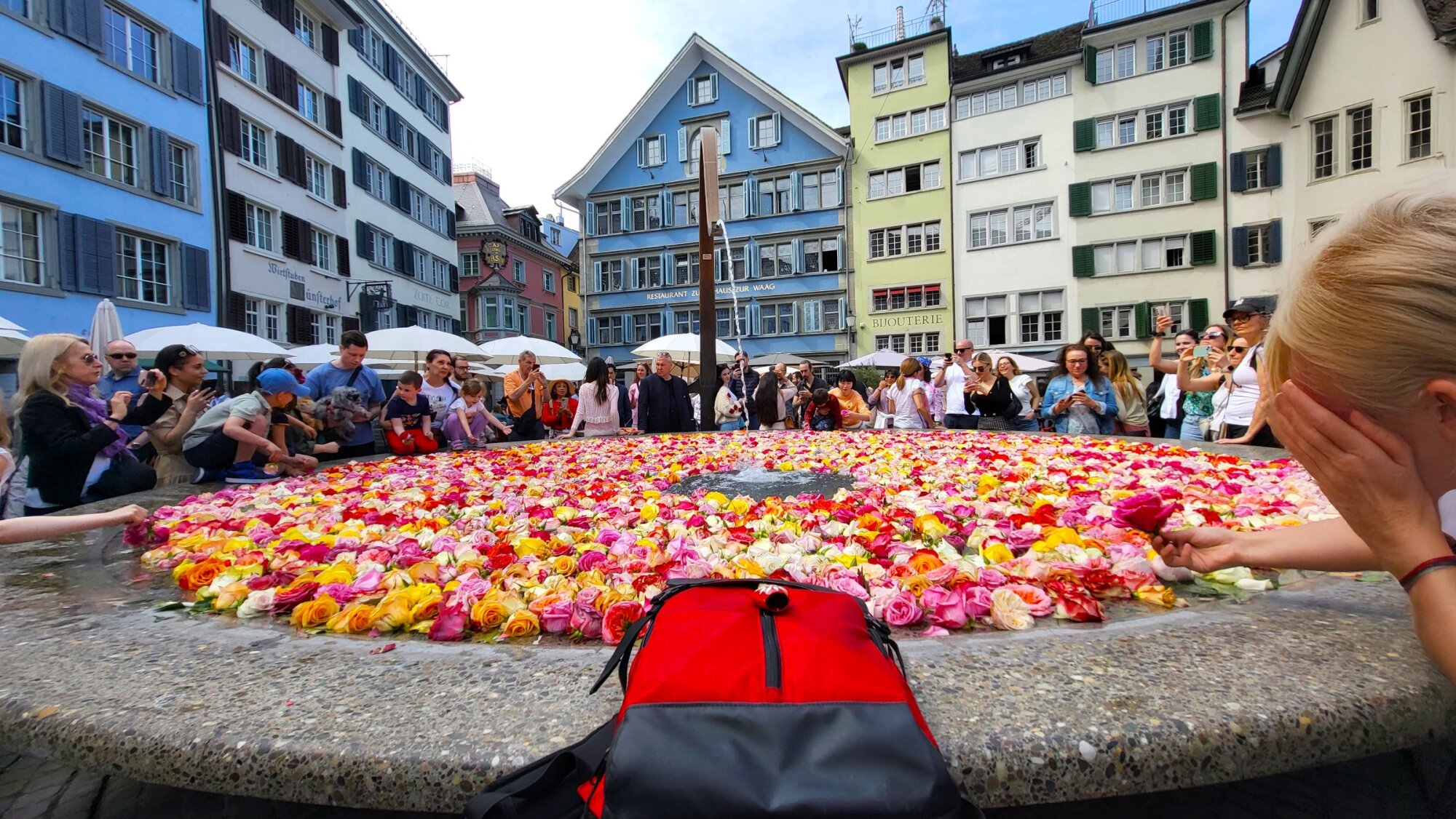 SARA FERNÁNDEZ RODRÍGUEZ