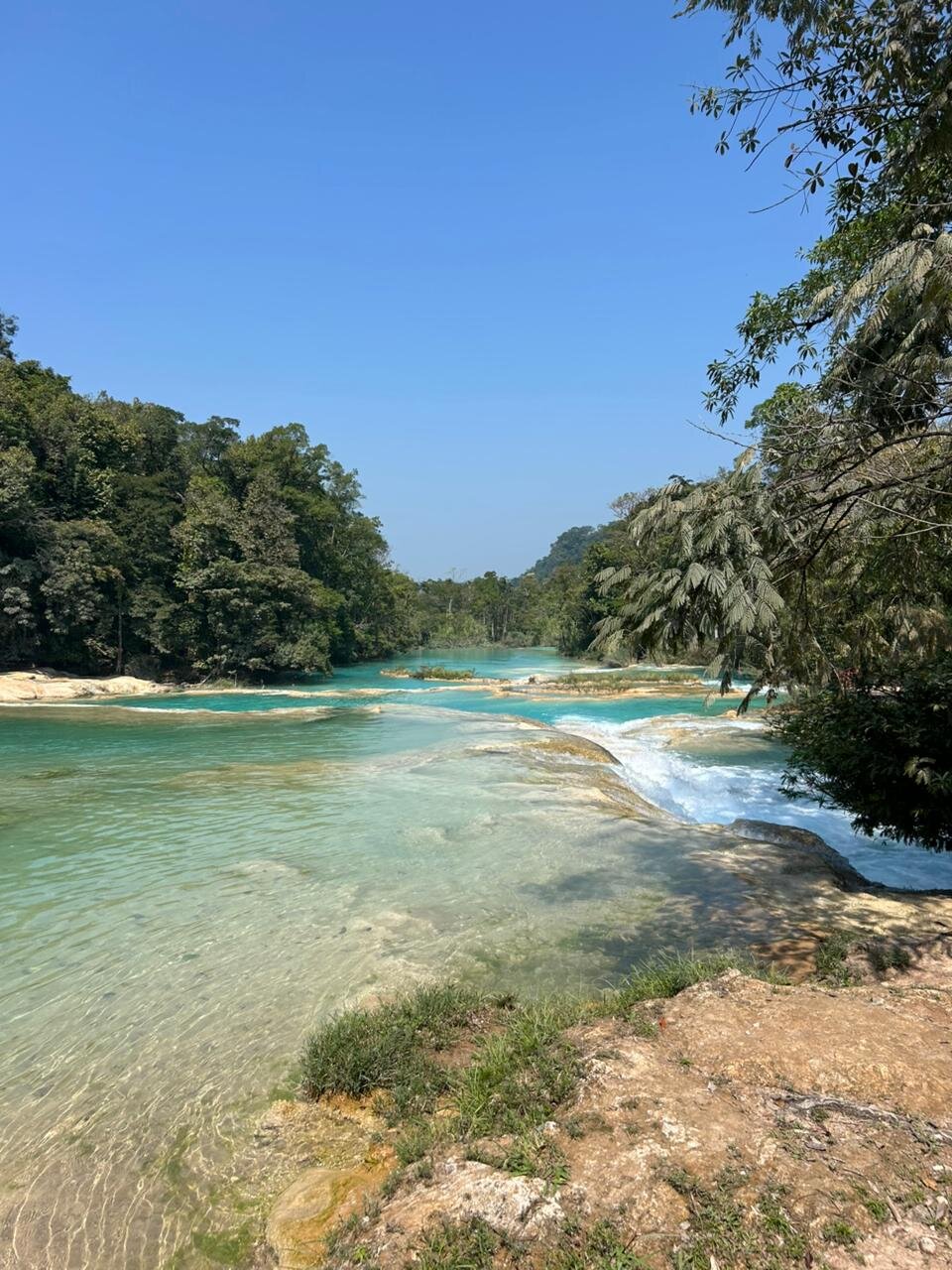 Rin Rin Chiapas