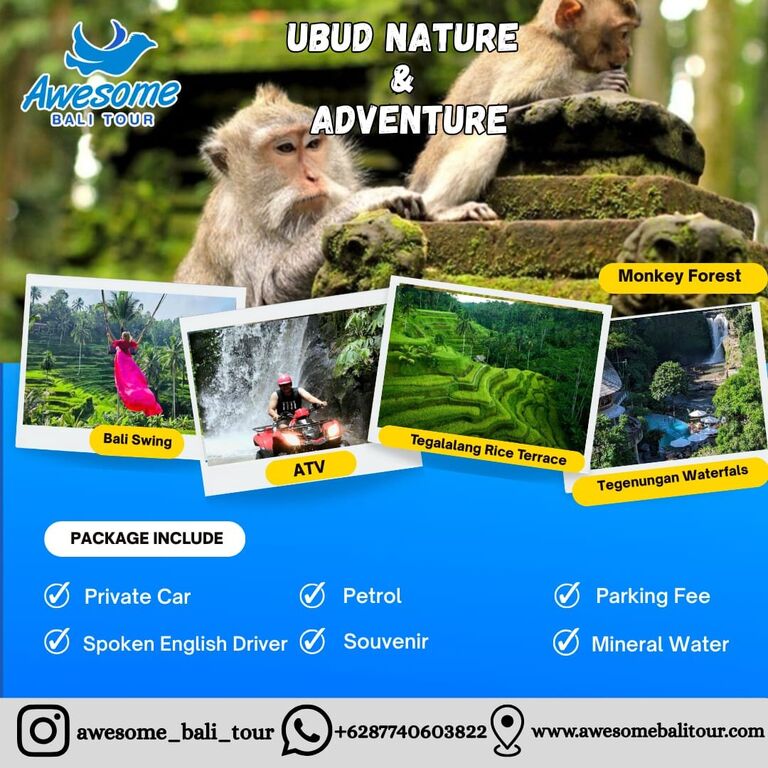 Awesome Bali Tour