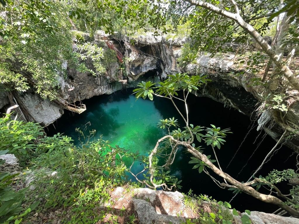 Cenotes: Cliff Jump/Rope Swing