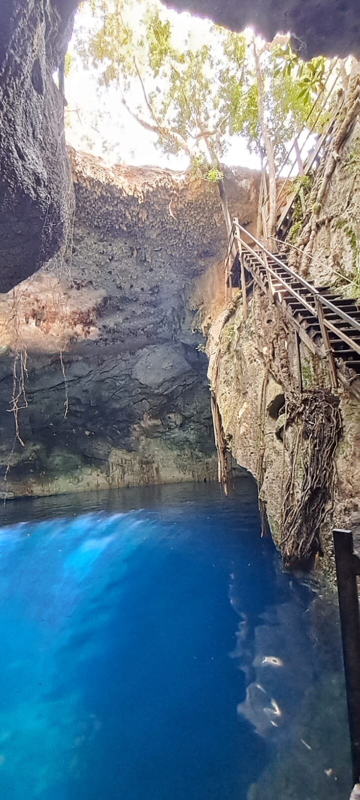 Cenotes: Cliff Jump/Rope Swing