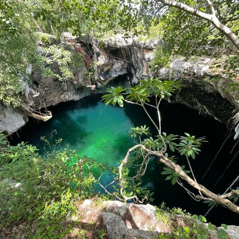 Cenotes: Cliff Jump/Rope Swing