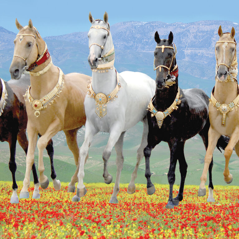 Jahana Syyahat Travel Agency
