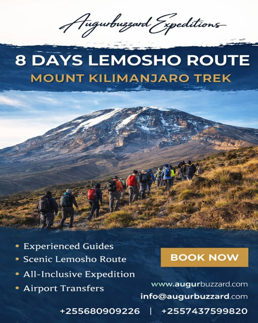 Augurbuzzard Expeditions