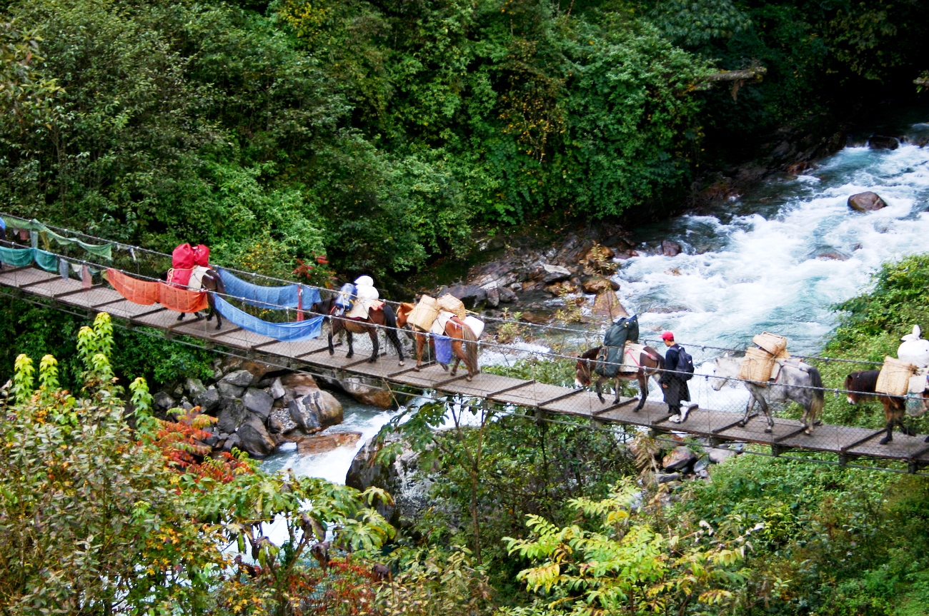 Bhutan Druk Adventure